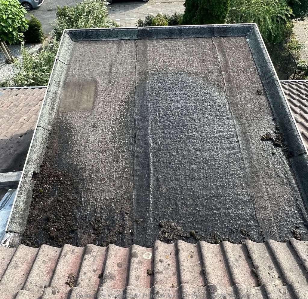Dak Lekt Roosendaal