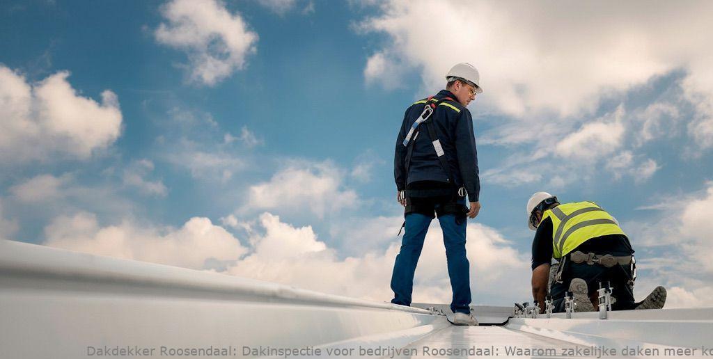 Dakinspectie Voor Bedrijven Roosendaal