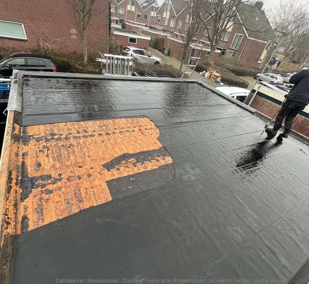Dakleer Reparatie Roosendaal