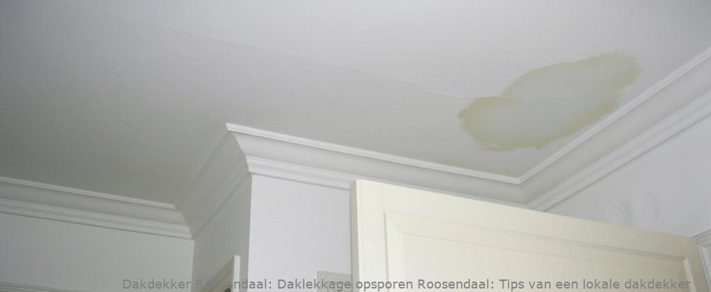 Daklekkage Opsporen Roosendaal 1