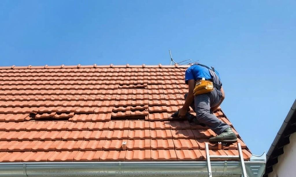 Dakreparatie En Verzekering Roosendaal