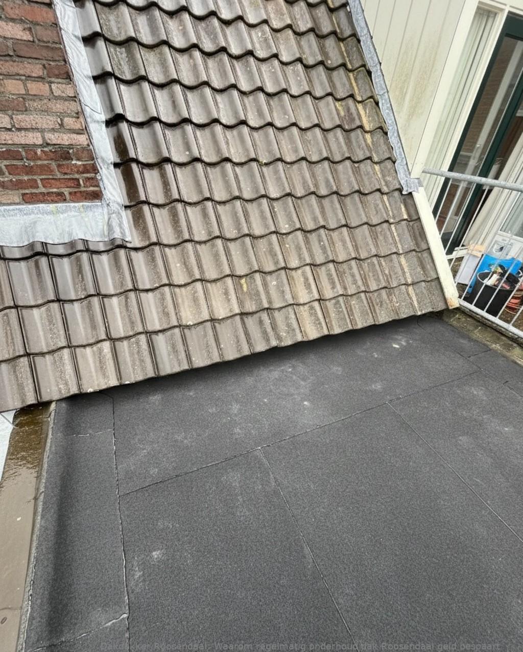Onderhoud Dak Roosendaal