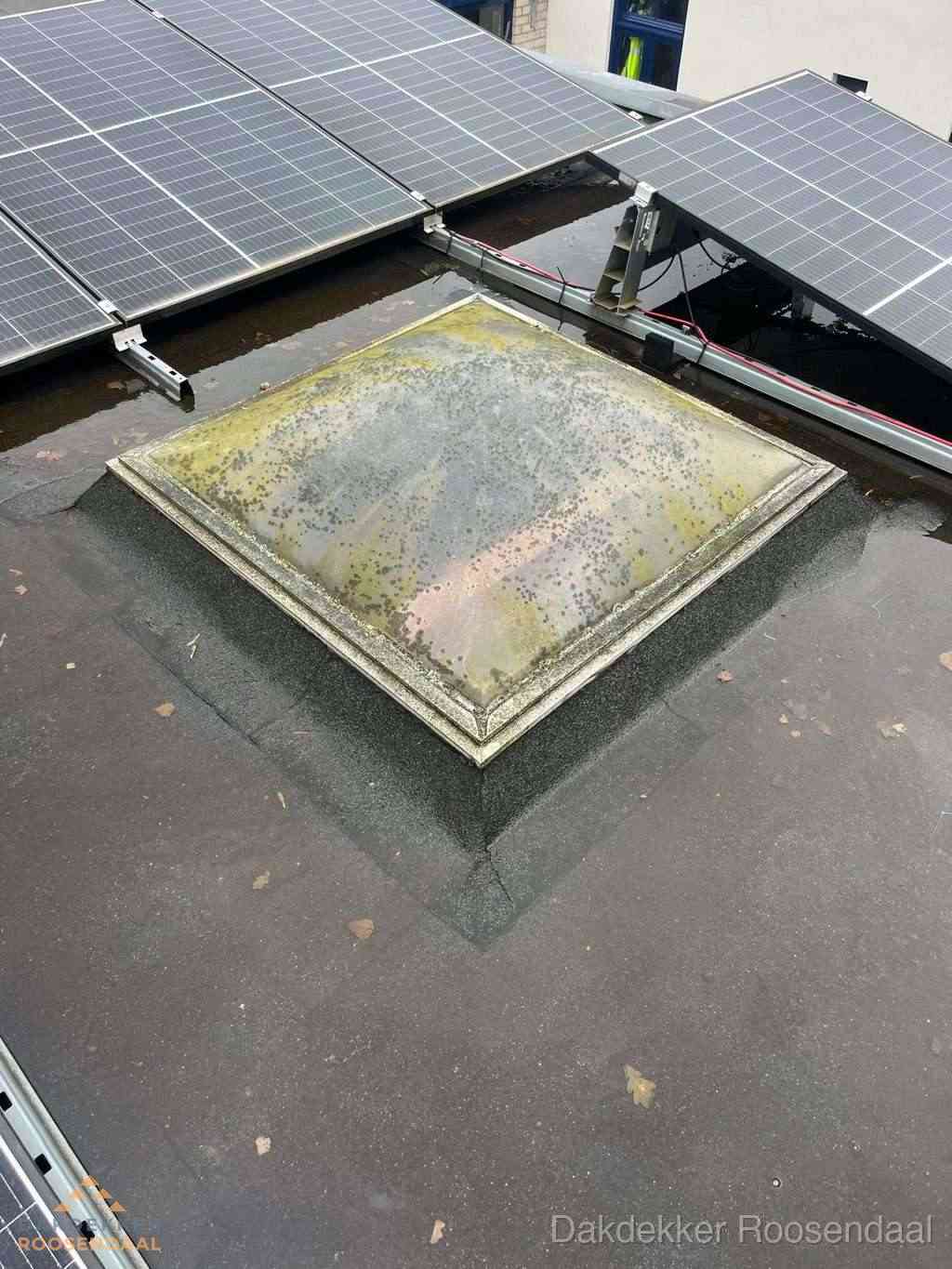 Opsporen Daklekkage Roosendaal