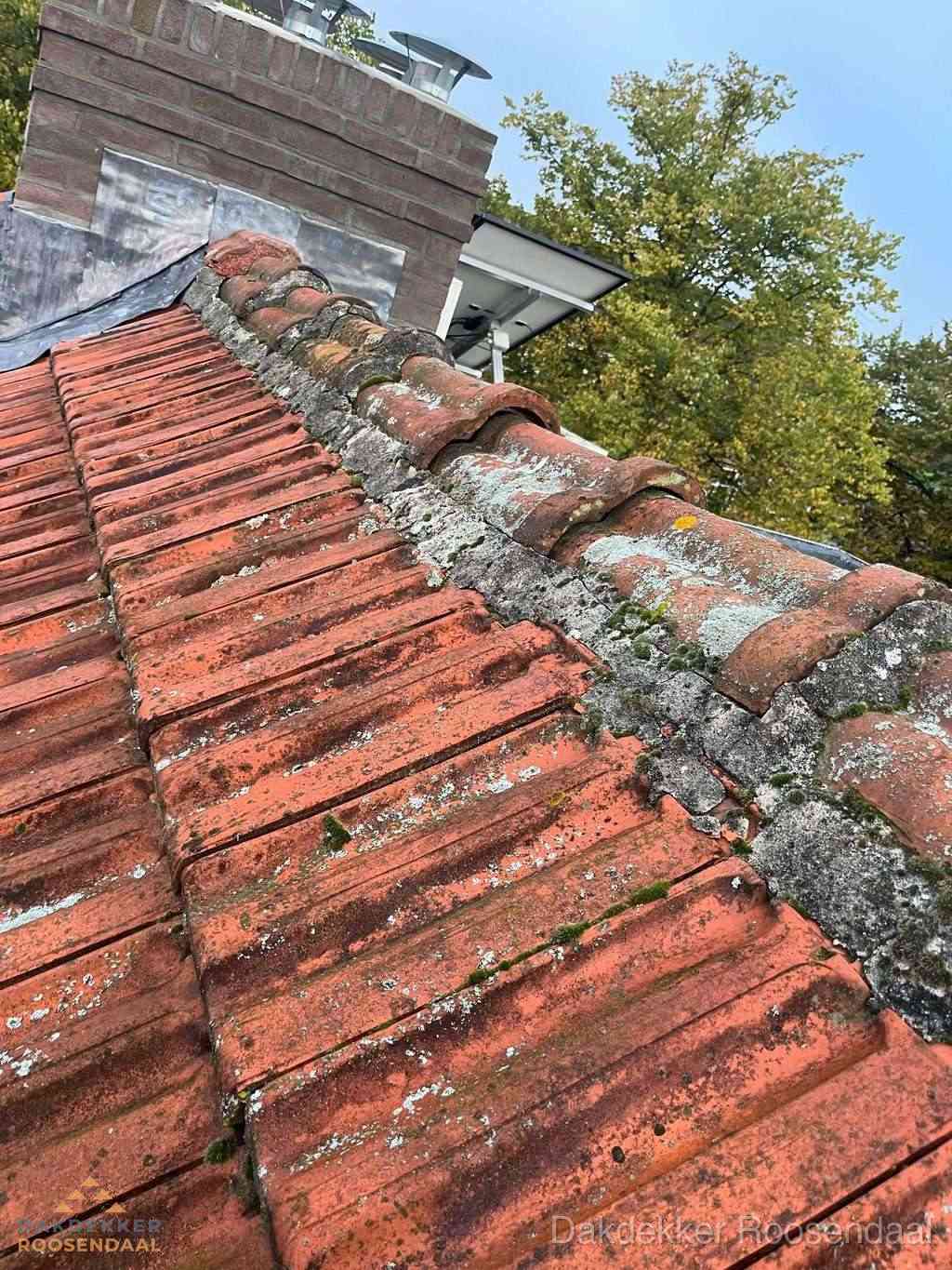 Renovatie Hellend Dak Roosendaal