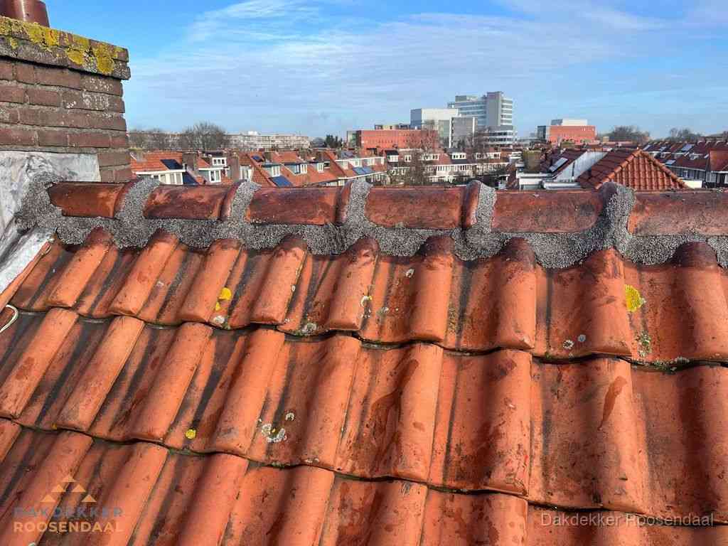 Roosendaal Daken Renoveren