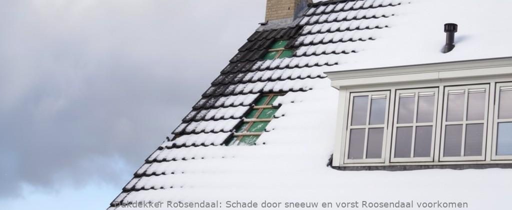 Schade Door Sneeuw En Vorst Roosendaal