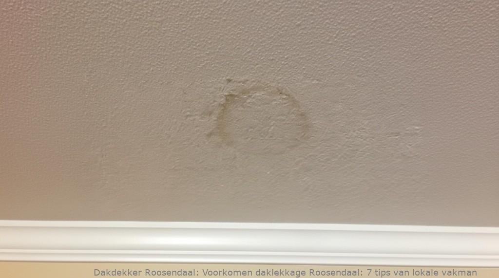 Voorkomen Daklekkage Roosendaal