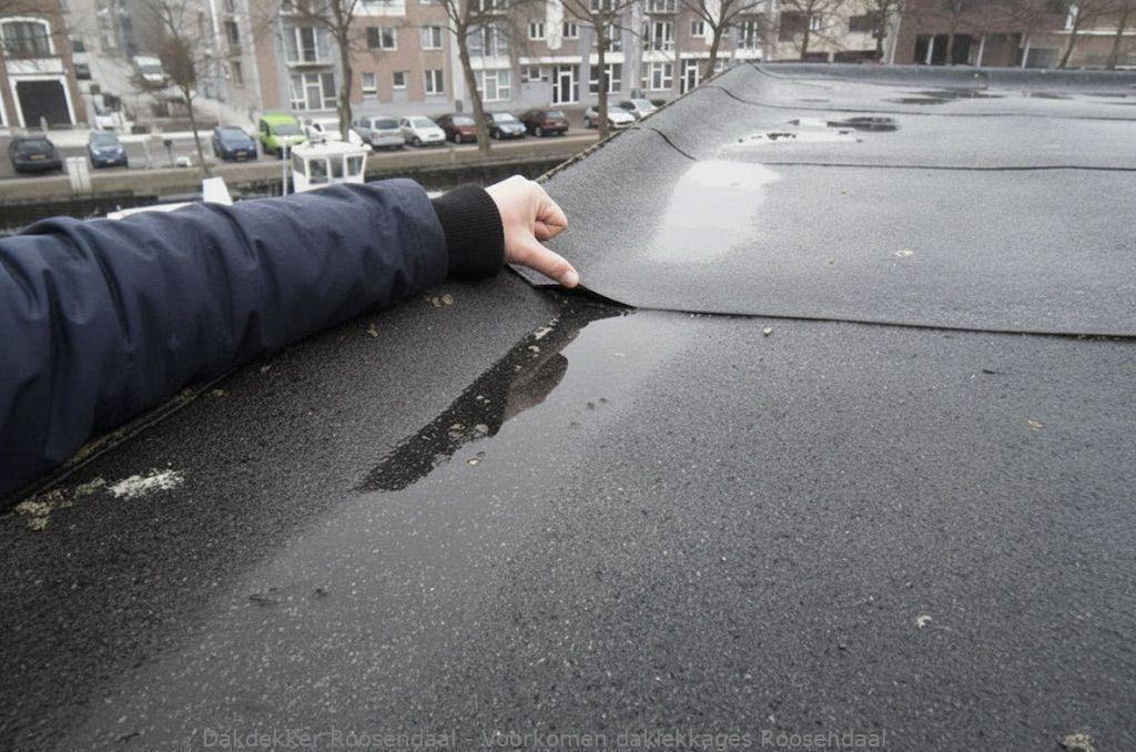 Voorkomen Daklekkages Roosendaal